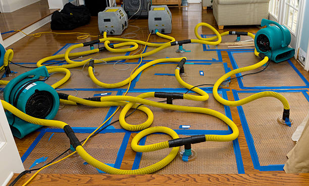 Professional Crawl Space Water Removal technician working in Peytona, WV
